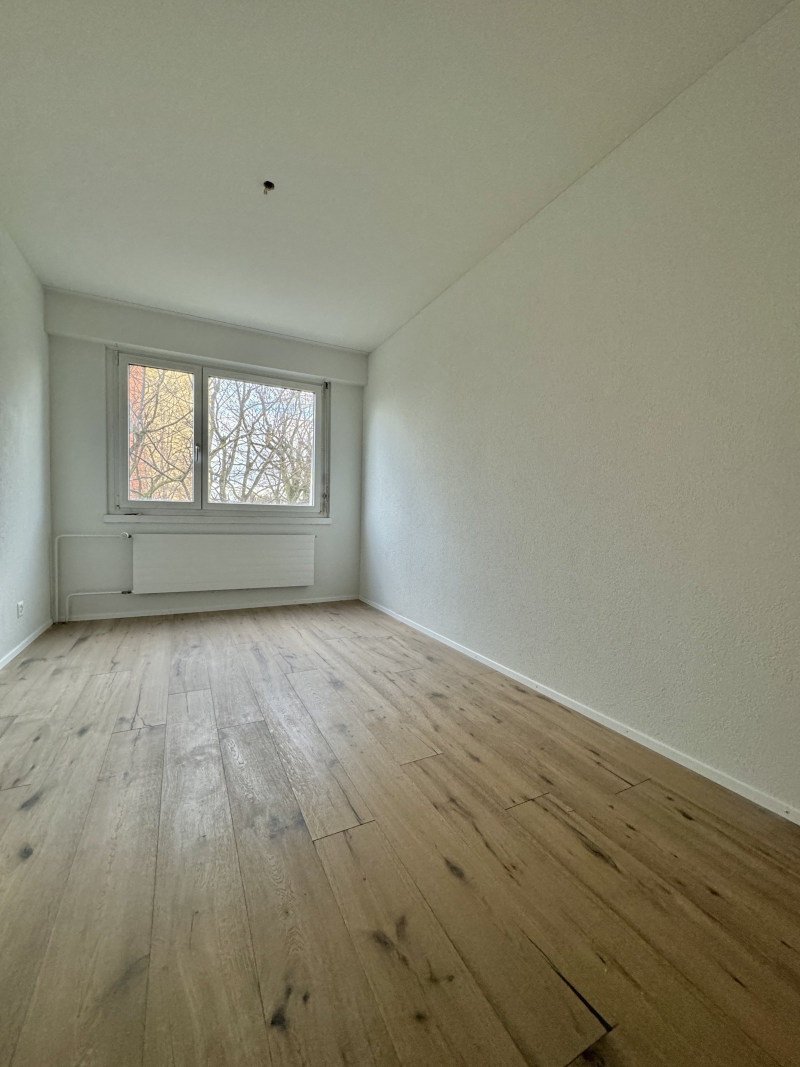 Frisch sanierte 3 Zimmerwohnung mit Weitsicht und eigener Waschküche