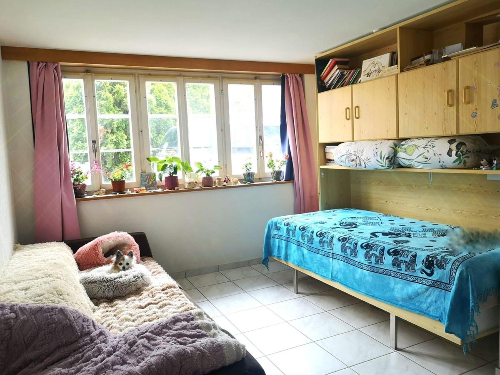 6,5 Zimmer-Haus mit Gewerberaum (94m2)