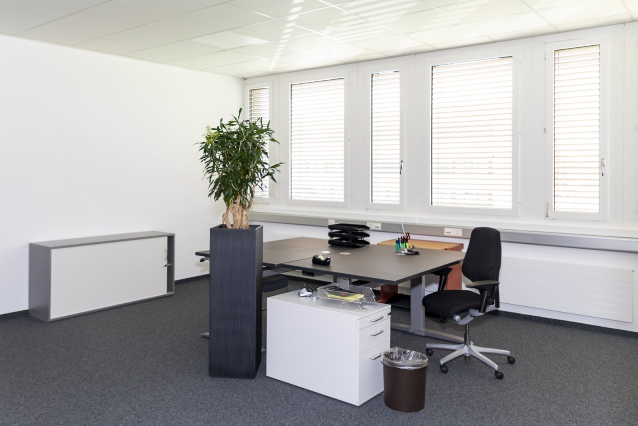 Lichtdurchflutetes Büro mit ergonomischem Arbeitsplatz und hochwertiger Ausstattung